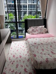 La Fiesta (D19), Condominium #461871871